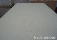 Sell maple plywood