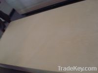 Sell Birch Plywood