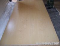 Sell UV plywood/lacquered board,