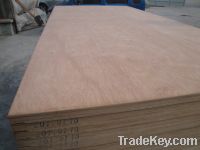 Sell Keruing Container Flooring Plywood