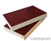 Sell Brown Film Faced plywood