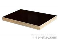 Sell Black film faced plywood