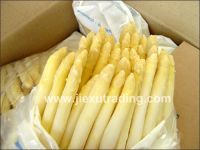 Sell IQF White Asparagus
