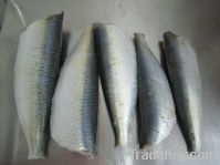 Sell offer for frozen sardine and mackerel, fishmeal.canned fish