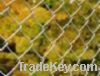 Sell Chain Link Wire Mesh