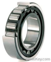 hot offer of single rowcylindrical roller bearing with low noise