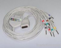 HP 10-lead ECG cable