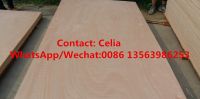 Supply  commercial plywood