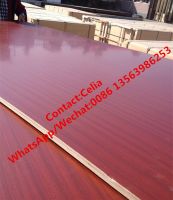 sell Melamine faced plywood/MDF/Patical board