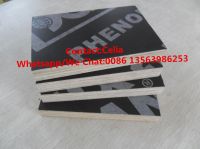 supply top-grade film faced plywood and wiremesh film faced plywood
