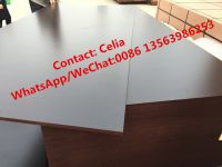 Sell film faced plywood for construction