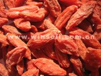 Sell Goji Berry/Wolfbery