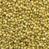 Sell Yellow millet