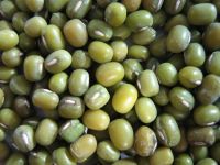 Sell Green mung beans