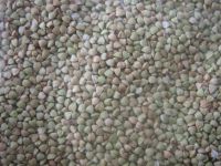 Sell buckwheat kernels