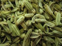 Sell Fennel seed