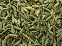 Sell Cumin Seeds