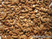 Sell Flax Seeds