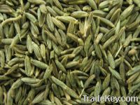 Sell cummin seeds, fennel seeds