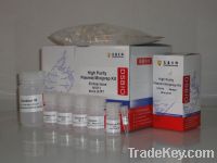 Sell High Purity Plasmid Miniprep Kit