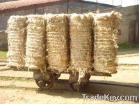 Sell Raw Jute / Jute Yarn