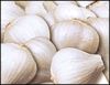 Sell dehydrated,fresh,frozen garlic products.