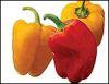 Supplying  pepper products including dehydrated pepper,fresh pepper.