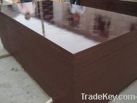 Sell Brown film faced plywood KINGPLEX