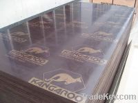 Sell Brown film faced plywood KANGAROO