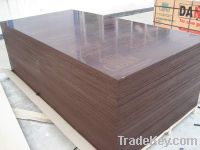 Sell Brown film faced plywood CROWN