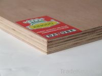 Sell Commercial Plywood with 'Kingdo' brand