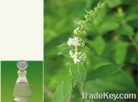 Sell peppermint oil