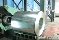 Sell DX51D hot dipped galvanized steel sheet in coil HDGI GI HDG
