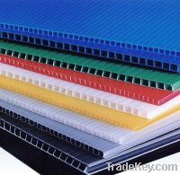 Sell pp hollow plastic sheet/board