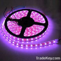 RGB LED Strip Light Waterproof