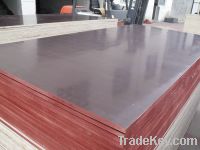 Sell shuttering plywood