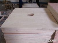 Sell plywood with hole diametre 6'