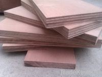 Sell keruing plywood