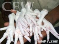Sell (chicken feet processed )
