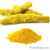 Sell Curcumin 95%