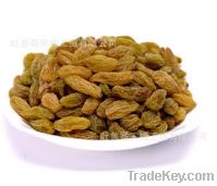 Sell raisin cumin and dried fruits