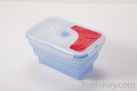 Sell silicone container-TYT02