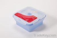 Sell silicone container-TYT03