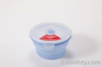 Sell silicone bowl-TYT04