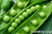 Sell Green Peas , Garlic, Ginger, Carrots