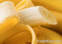 Sell Fresh Banana , Fiber and other Fruits