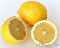Sell Fresh Lemon, Grapes, Oranges, Melons, Citrus