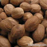 Sell Nutmeg whole