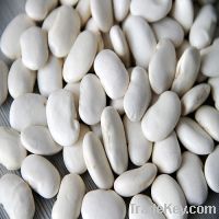 Sell Lima Beans, Kidney Beans , Mung Beans