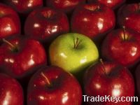 Sell Fresh Apple Fruit , Fresh Citrus Fruit